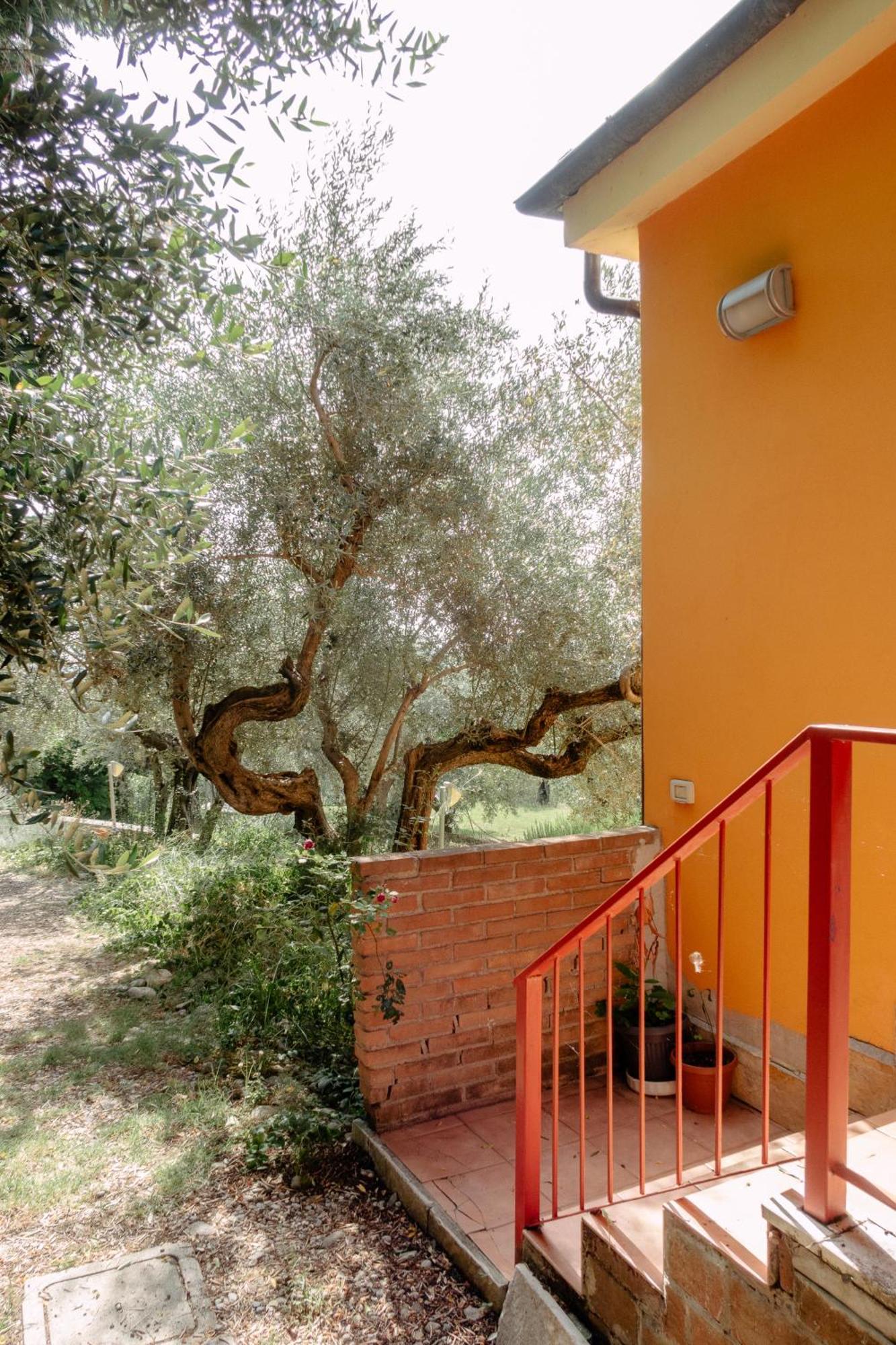 Casa Lunaria Moscufo Exterior foto